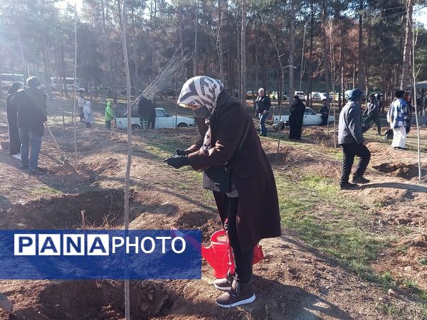 کاشت ۱۰۰۰ نهال به یاد شهدای مقاومت و شهدای مدافع حرم در بوستان جنگلی سرخه حصار