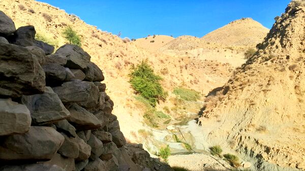 روستای برد‌زرد نگینی غریب در شهرستان لنده