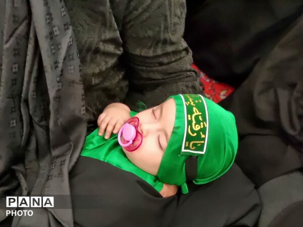 از گهواره تا کربلا؛ همایش شیرخوارگان حسینی در امامزاده کرار