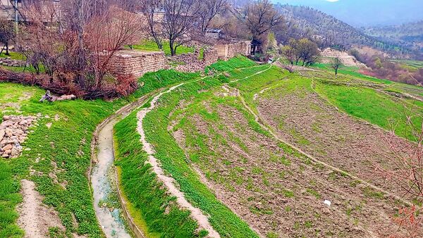 دومین روز بهاری منطقه میانکوه 