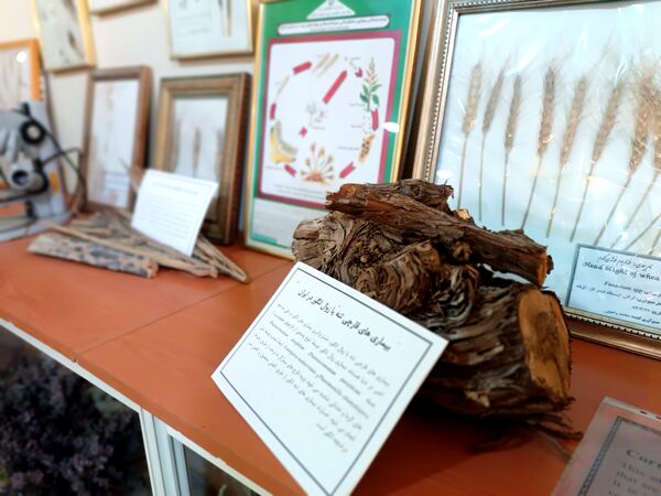 گام خبرنگاران در مسیر تنوع زیستی