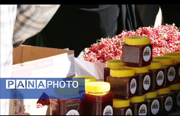 جشن بزرگ بادام در تفرش