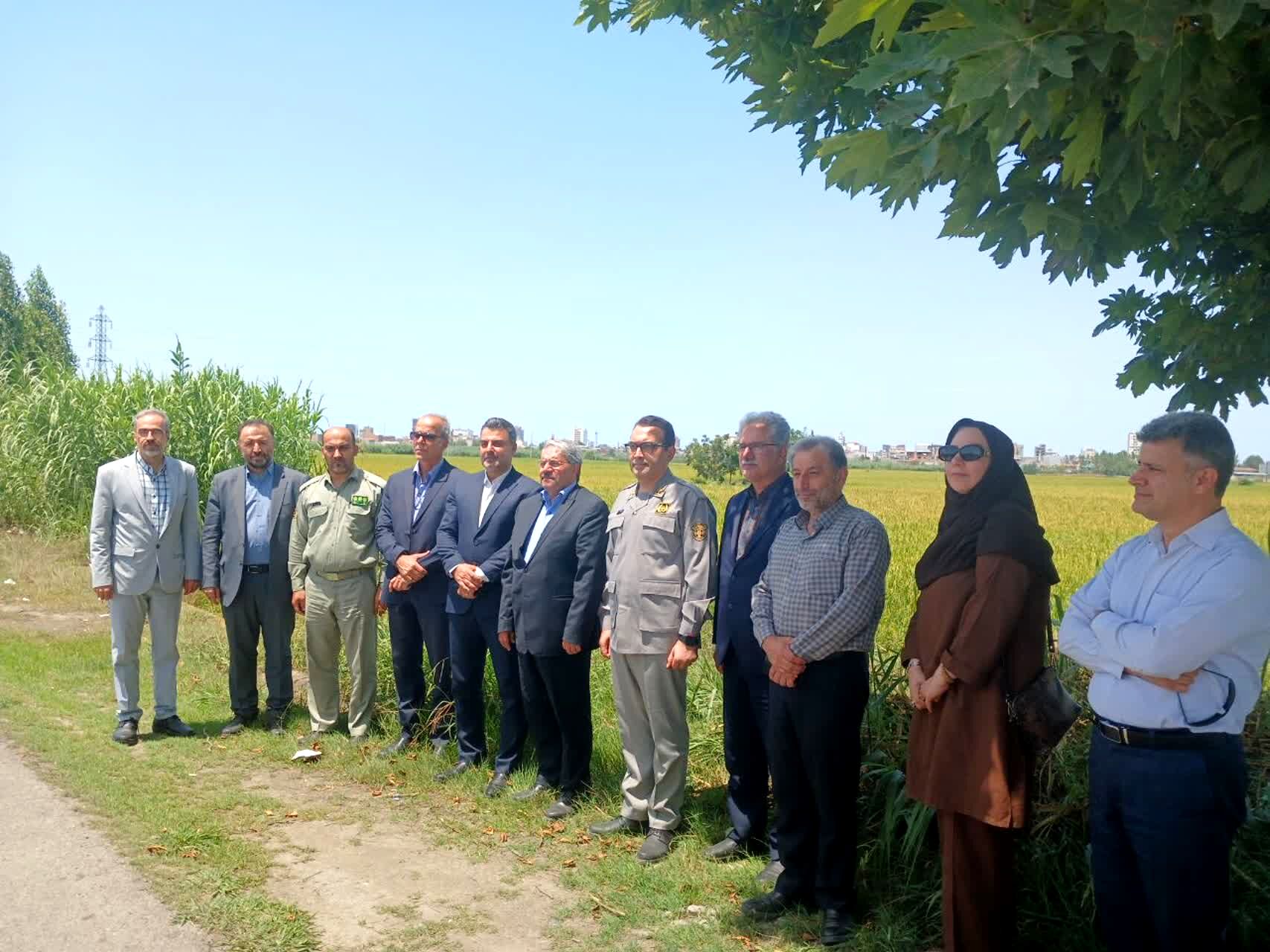 حضور معاون محیط‌ زیست دریایی و تالاب‌های سازمان حفاظت از محیط زیست در فریدونکنار