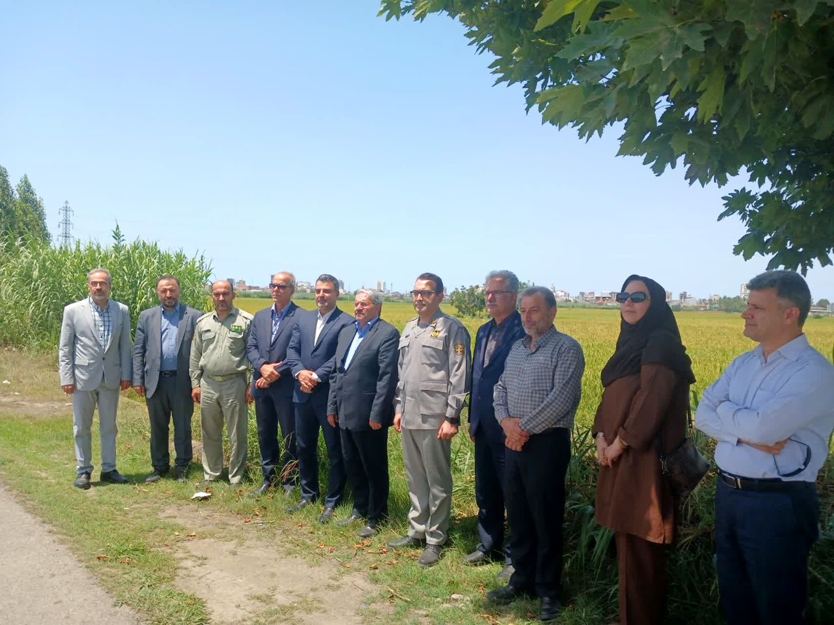 حضور معاون محیط‌ زیست دریایی و تالاب‌های سازمان حفاظت از محیط زیست در فریدونکنار