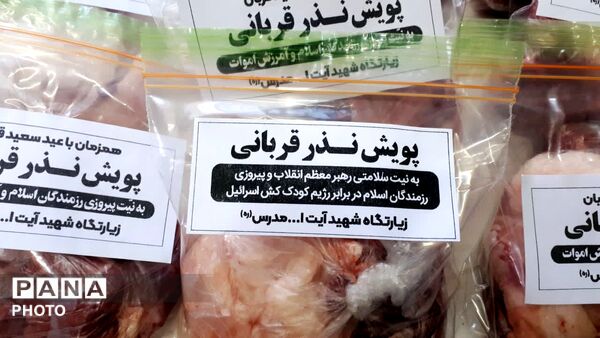 «ویژه برنامه عید بندگی» در کاشمر 