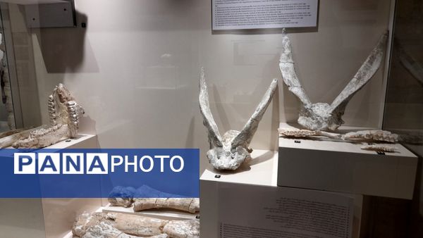 فلک‌الافلاک میزبان دانش‌آموزان‌دبیرستان‌ریحانه