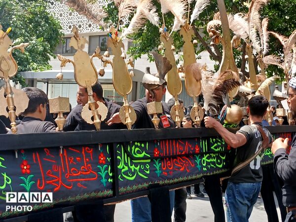 عاشورا؛ روایت دلدادگی در قاب اشک و ارادت 