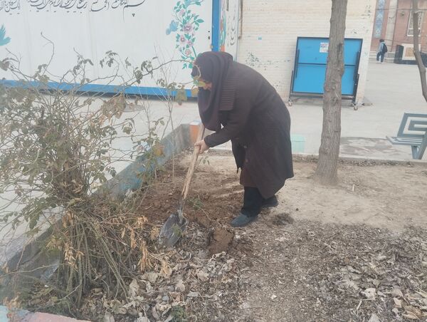 کاشت درخت در هنرستان بصیرت آشخانه