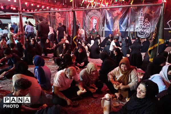 موکب عشاق الحسین(ع) تجلی خدمت و دلدادگی