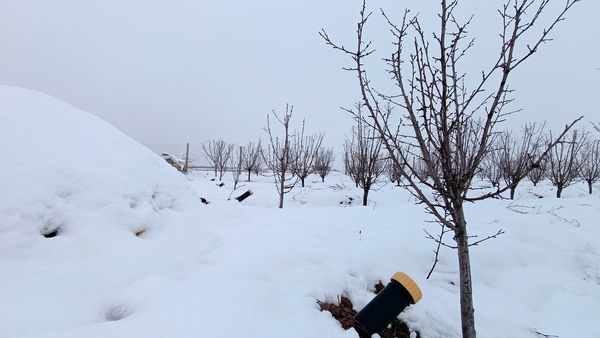 مناظر زیبای باغات روستای بوژمهران پس از بارش برف بهاری ۲۰ سانتیمتری 