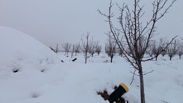مناظر زیبای باغات روستای بوژمهران پس از بارش برف بهاری ۲۰ سانتیمتری 