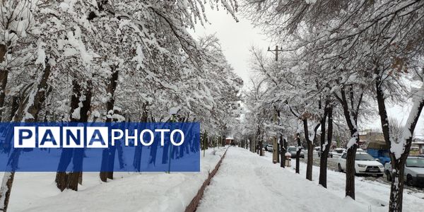 سکوت برفی بروجن، قلب شهر را به تپش انداخت