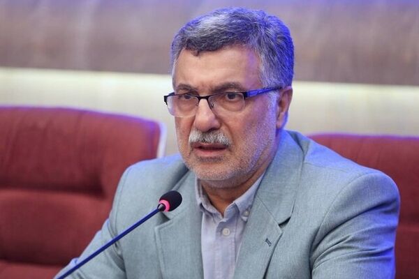 وزیر بهداشت: بیمه‌ها برای جبران افزایش قیمت دارو، تامین اعتبار می‌شوند