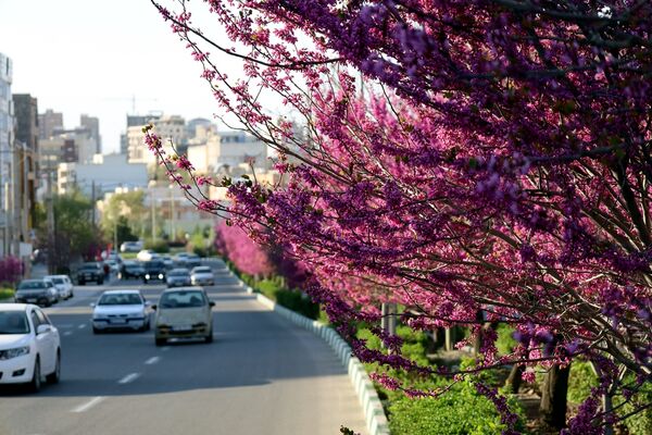 ارومیه شهر رویایی