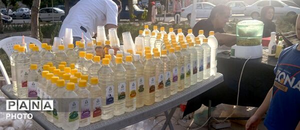 برپایی بازارچه صنایع دستی و مشاغل خانگی در پارک گلستان ساوجبلاغ