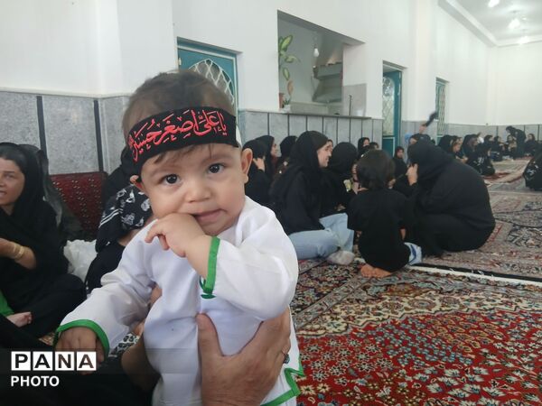 از نوزادی تا عشقِ بی‌کران؛ روایتِ اشک و ایمان در شبِ شیرخوارگان