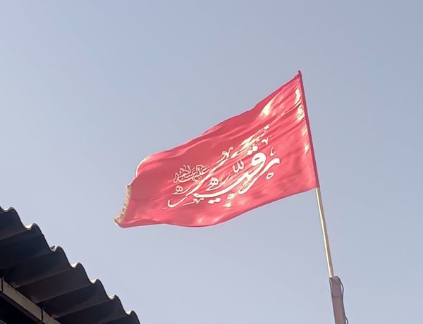 گذری بر فعالیت مجتمع فرهنگی امام  جواد(ع) در مسیر پیاده روی امام رضا (ع) 