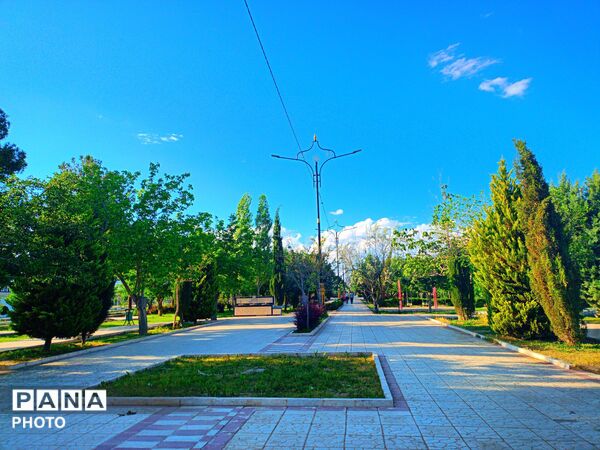  بزرگترین پارک خطی شرق کشور سرسبز تر از همیشه