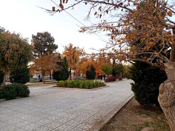 طبیعت زیبای کاشمر در پاییز
