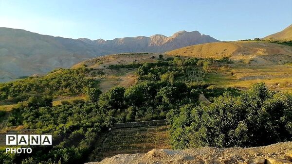 برداشت گیلاس از باغات و تصاویر زیبا از طبیعت سرسبز شهربار 