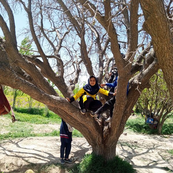 برگزاری اردوی تفریحی دانش‌آموزی بیرون از مدرسه