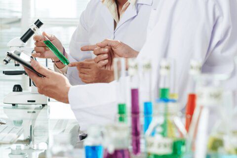 سپیدپوشان علوم آزمایشگاهی چراغ‌داران سلامت جامعه‌ هستند 