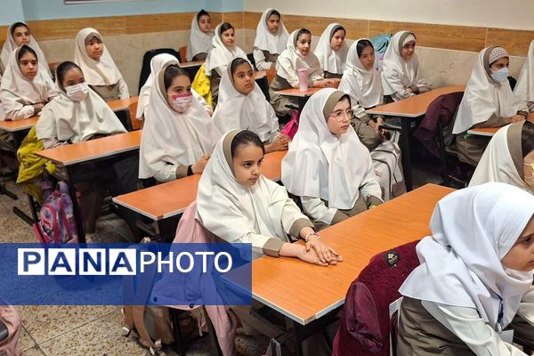 پویش کیف سبک-ذهن پربار