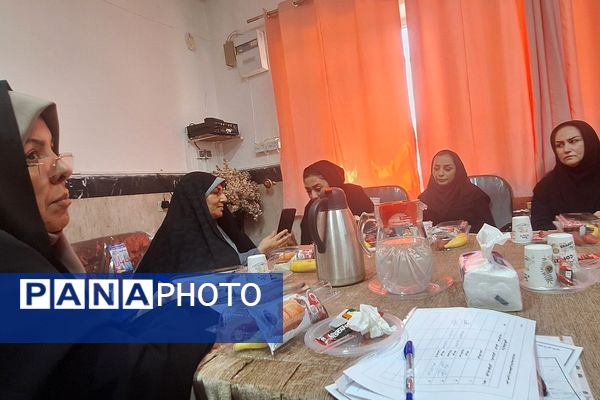 برگزاری جلسات هماهنگی با شبکه بهداشت شهرستان ری در راستای طرح ملی نماد
