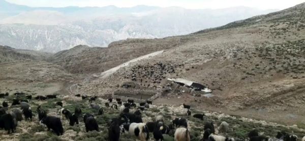  سرزمین عشق در دل سختی‌ها