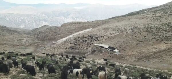  سرزمین عشق در دل سختی‌ها