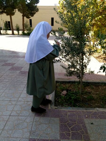لمس طبیعت با حواس پنج‌گانه، سفری از شناخت تا شکرگزاری در هفته بهداشت روان