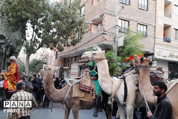 ایمان، دوباره راه را نشان می‌دهد؛ اربعینِ صباشهر، خانه زائرانِ دلتنگ
