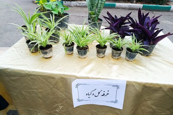دستان کوچک، ایده‌های بزرگ: بازارچه خلاقیت دانش‌آموزان عترت در جشنواره خوارزمی