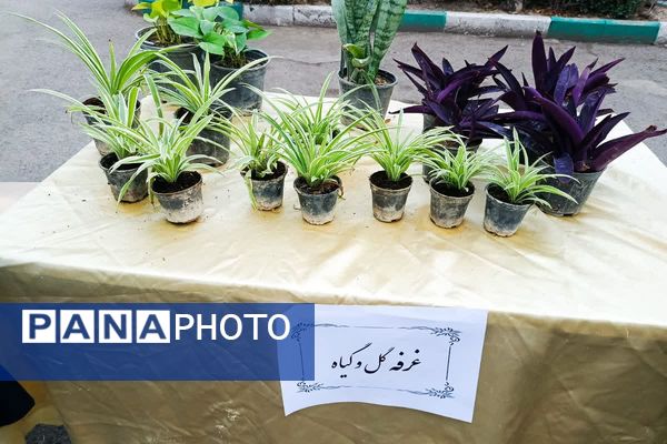 دستان کوچک، ایده‌های بزرگ: بازارچه خلاقیت دانش‌آموزان عترت در جشنواره خوارزمی