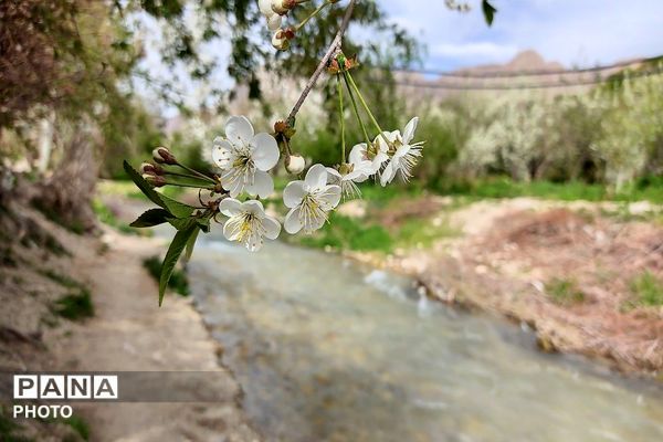 آلبوم تصویری از طبیعت زیبای شهر بار در اردیبهشت‌ماه  ۱۴۰۵ -1