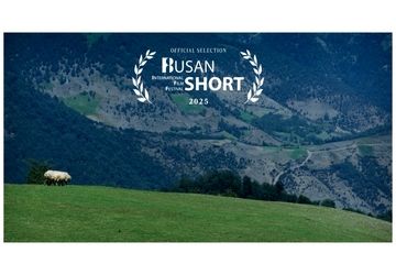 «گوسفند» به جشنواره «بوسان» کره جنوبی راه یافت 