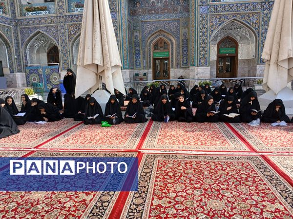 زیارت ضامن آهو 