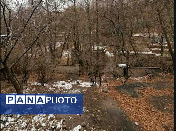 بارش دل‌انگیز برف‌ در اولین روزهای بهمن ماه