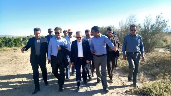 سفر معاون وزیر جهاد کشاورزی به کاشمر