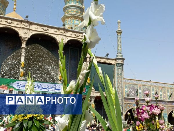 کاروان نمادین سالروز ورود حضرت معصومه(س) به قم 