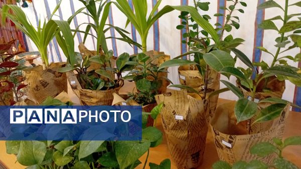  دبیرستان جرجانی میزبان شور و هنر دانش‌آموزان الیگودرز شد