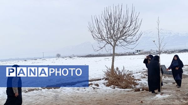آیین سنتی چراغ برات در روستای بوژمهران شهرستان زبرخان 