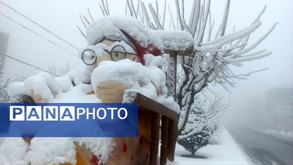 بارش برف در ارتفاعات شاندیز