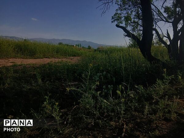 طبیعت چشم نواز روستای دهنو