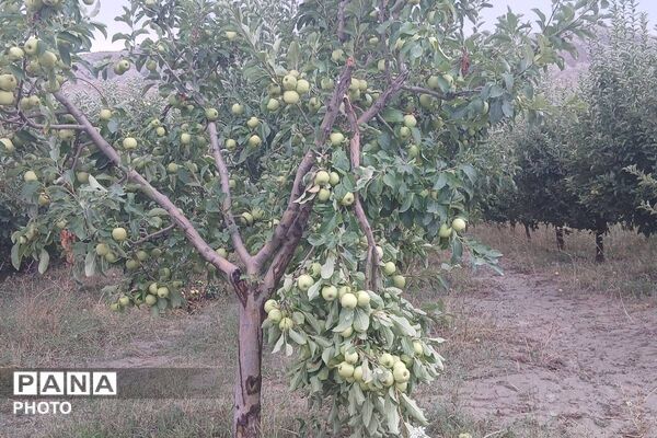 باران شدید در روستای مرزی قَتلیش