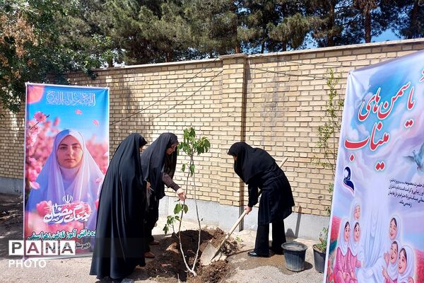 کاشت نهال به یاد یاسمن‌های میناب و شهیده دانش‌آموز نازنین زهرا سیفی 
