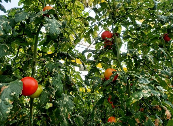 دومین تور رسانه‌ای مدیریت امور اراضی سازمان جهاد کشاورزی آذربایجان شرقی