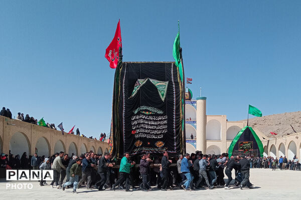 نخل‌برداری بنادکوک‌دیزه در سوگ امام علی (ع)