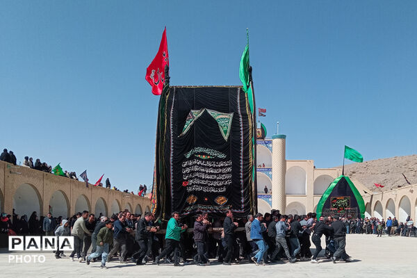 نخل‌برداری بنادکوک‌دیزه در سوگ امام علی (ع)