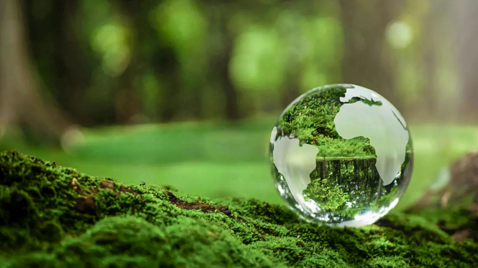 با اقدامات اولیه تغییرات بزرگی در حفظ محیط زیست ایجاد می‌شود